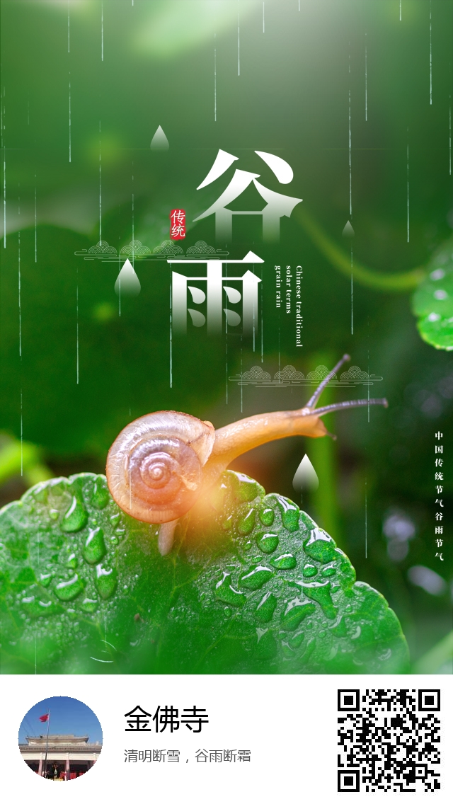 金佛寺-二十四节气谷雨-775